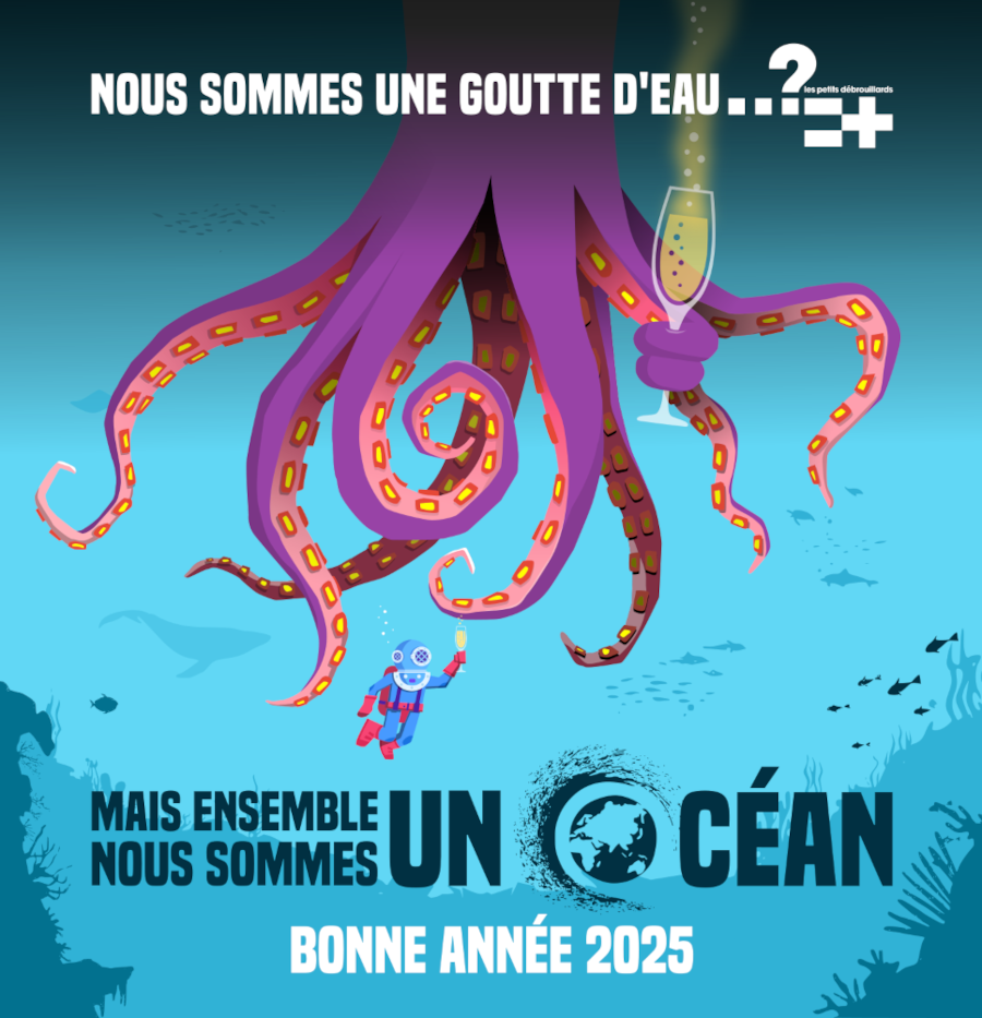Cartedevoeux2025petitsdebrouillards.png