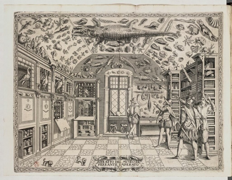 Fichier:Cabinet-de-curiosite-de-ferrante-imperato-1672-c-paris-bnf-1024x797.jpg