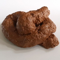 CrottetHOMAS.jpg
