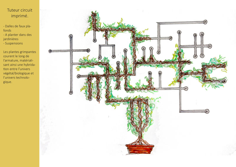 Fichier:Amenagement-coworking-biohacklab-plantes-proposition.jpg