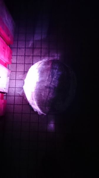 Fichier:Phase 2.jpg