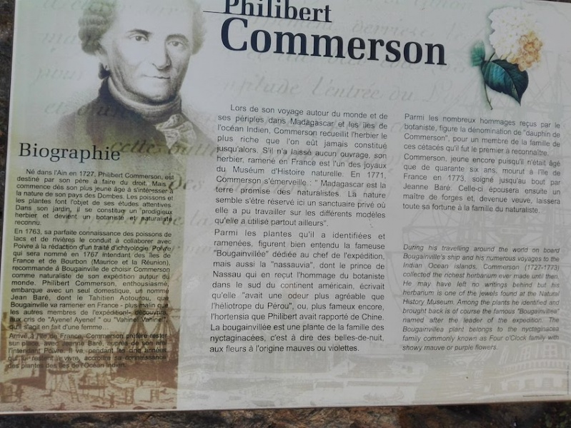 Fichier:JDE-Commerson.jpg