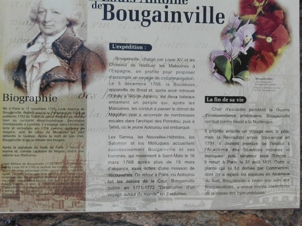 JDE-bougainville.jpg