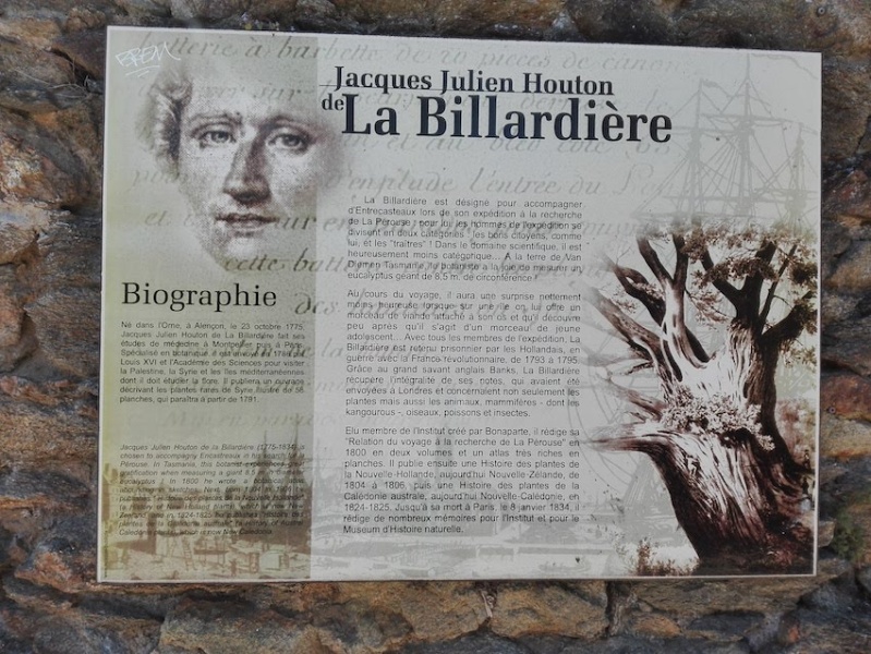 Fichier:JDE-Billardiere.jpg