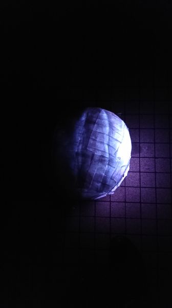 Fichier:Phase1.jpg