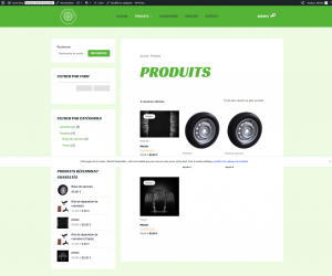 Site vente de pneus produits.png