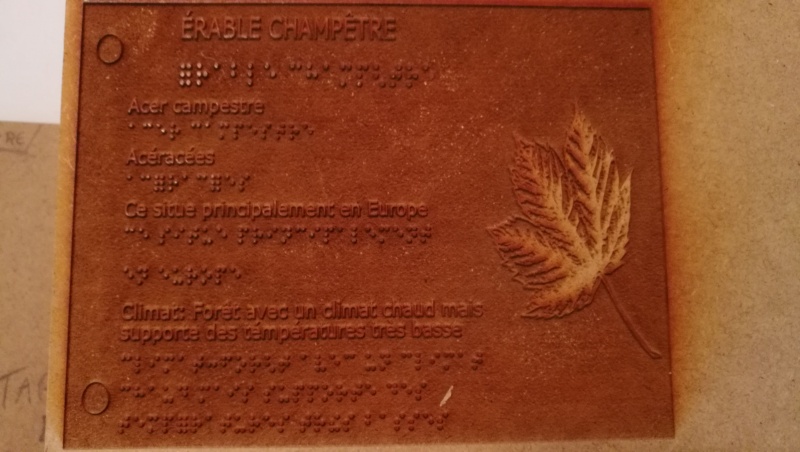 Fichier:Prototype1.jpeg