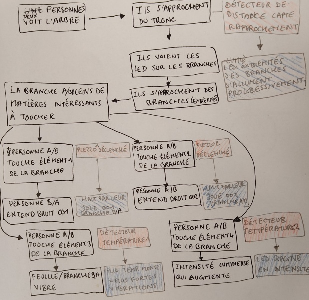 Fichier:CamelliaSensibilisOrganigramme.jpg