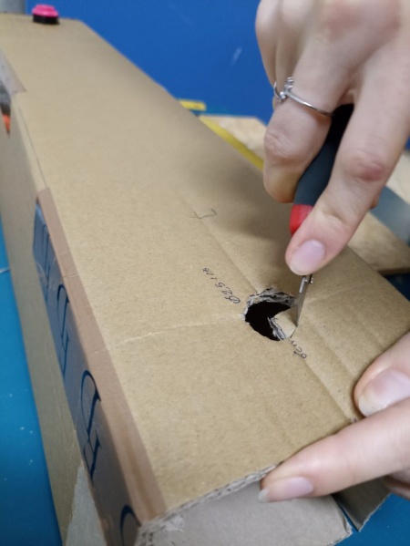 Fichier:Momo cut redimensionner.jpg