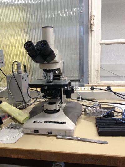 Microscopeoptique.jpg