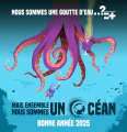 Vignette pour la version du 20 janvier 2025 à 12:41