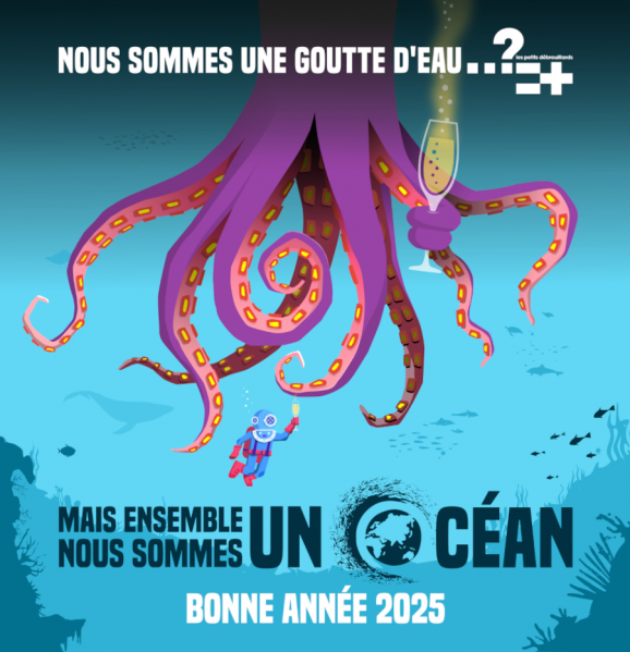 Fichier:Cartedevoeux2025petitsdebrouillards.png