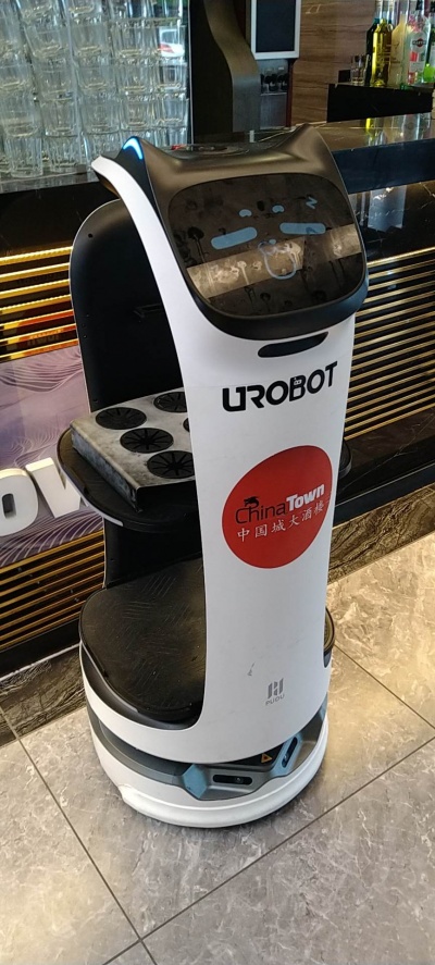 Robot chat du restaurant ChinaTown.jpg