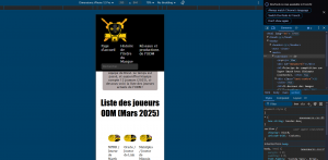 Site responsive.png