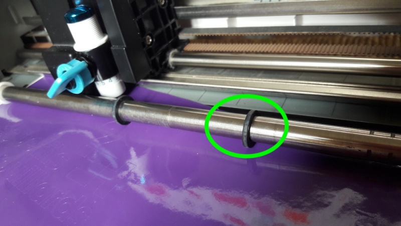 Fichier:Rondellebiendecoupeusevinyle.jpg