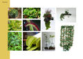 Amenagement-coworking-biohacklab-plantes-proposition-2.jpg