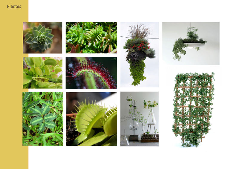 Fichier:Amenagement-coworking-biohacklab-plantes-proposition-2.jpg