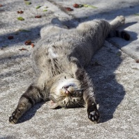 Test1.jpg